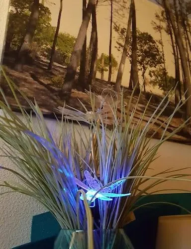 Le Chai De L'ocean - Avec Jardin Et Terrasse - 300 M 아파트 술락쉬르메르